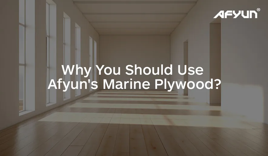 Why You Should Use Afyun’s Marine Plywood?