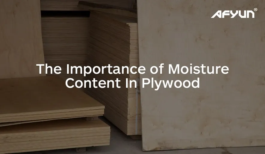 The Importance of Moisture Content In Plywood 