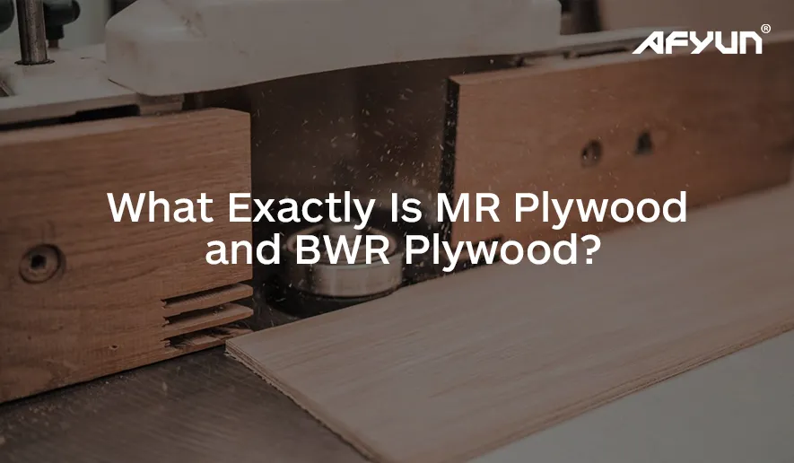 What Exactly Is MR Plywood and BWR Plywood?