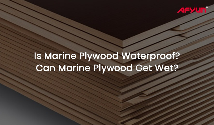 Is Marine Plywood Waterproof? Can Marine Plywood Get Wet?