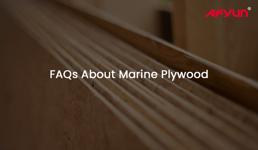 FAQs About Marine Plywood