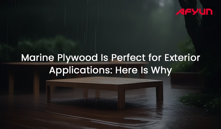 Marine Plywood Is Perfect for Exterior Applications: Here Is Why