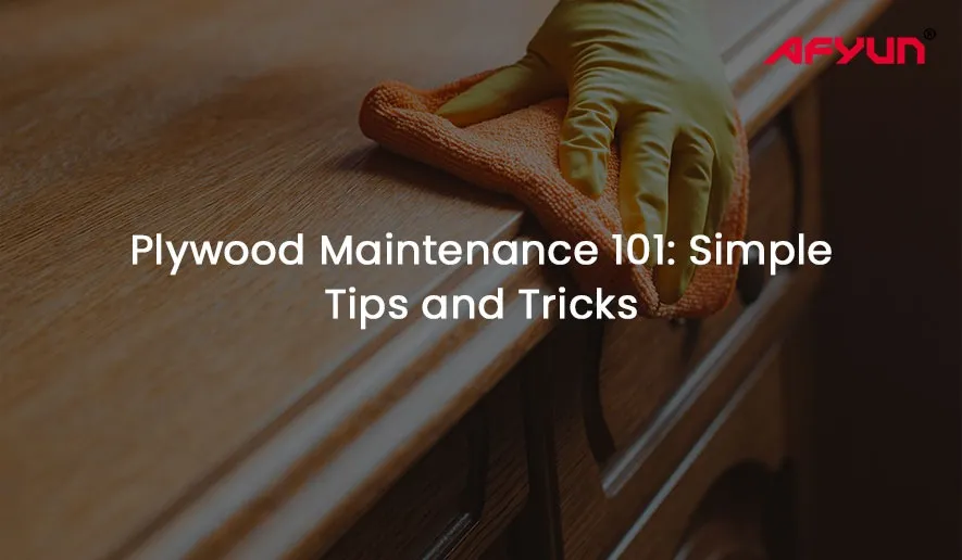 Plywood Maintenance