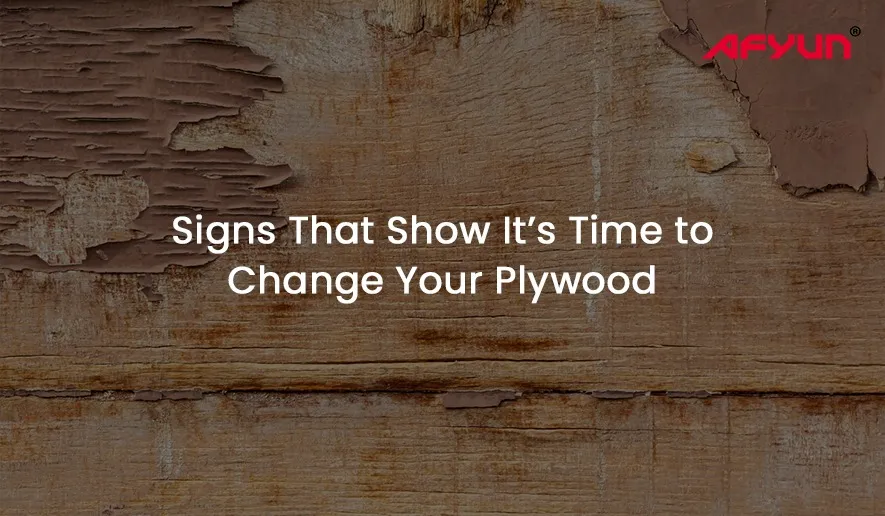 5 Signs That Show It’s Time to Change Your Plywood 