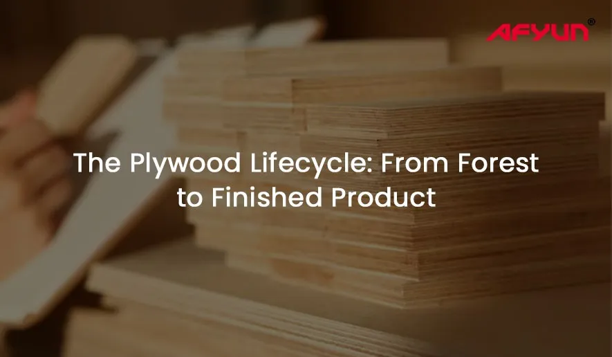 plywood lifecycle