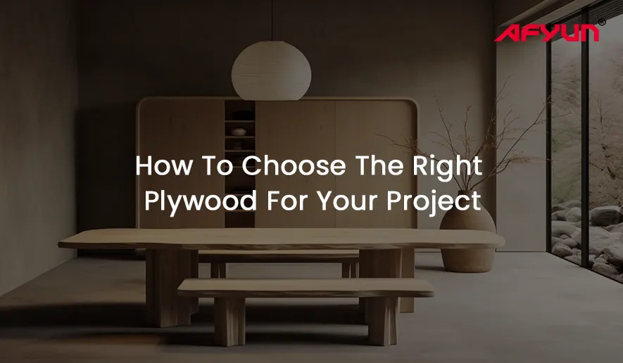 How To Choose The Right Plywood For Your Project 