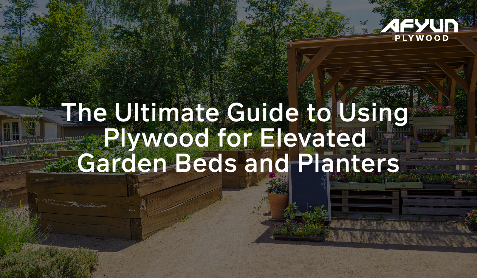 Using Plywood for Elevated Garden Beds and Planters