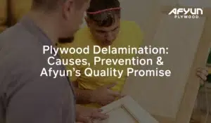 plywood delamination