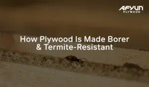 how plywood is made termite resistant