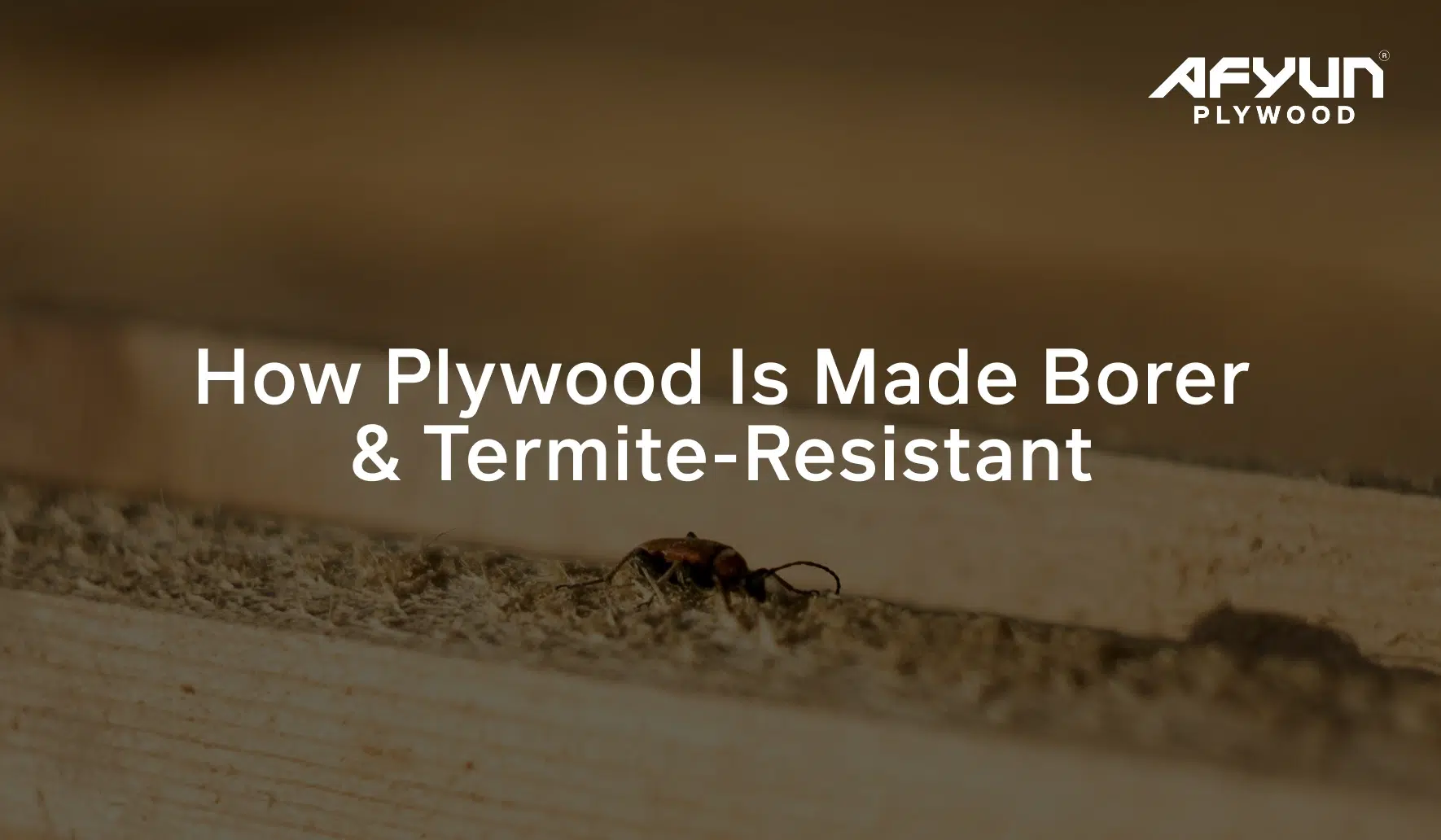 how plywood is made termite resistant
