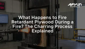 Fire retardant plywood exposed to flames, showing the protective charring layer that slows fire spread and preserves structural integrity during a building fire.