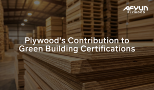 Plywood’s Contribution to Green Building Certifications