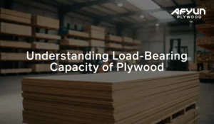 Understanding Load-Bearing Capacity of Plywood