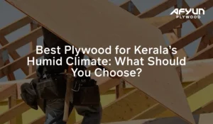 Best Plywood for Kerala’s Humid Climate | Afyun Plywoods