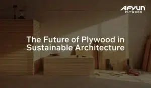 Future of Sustainable Plywood in Architecture| Afyun Plywoods